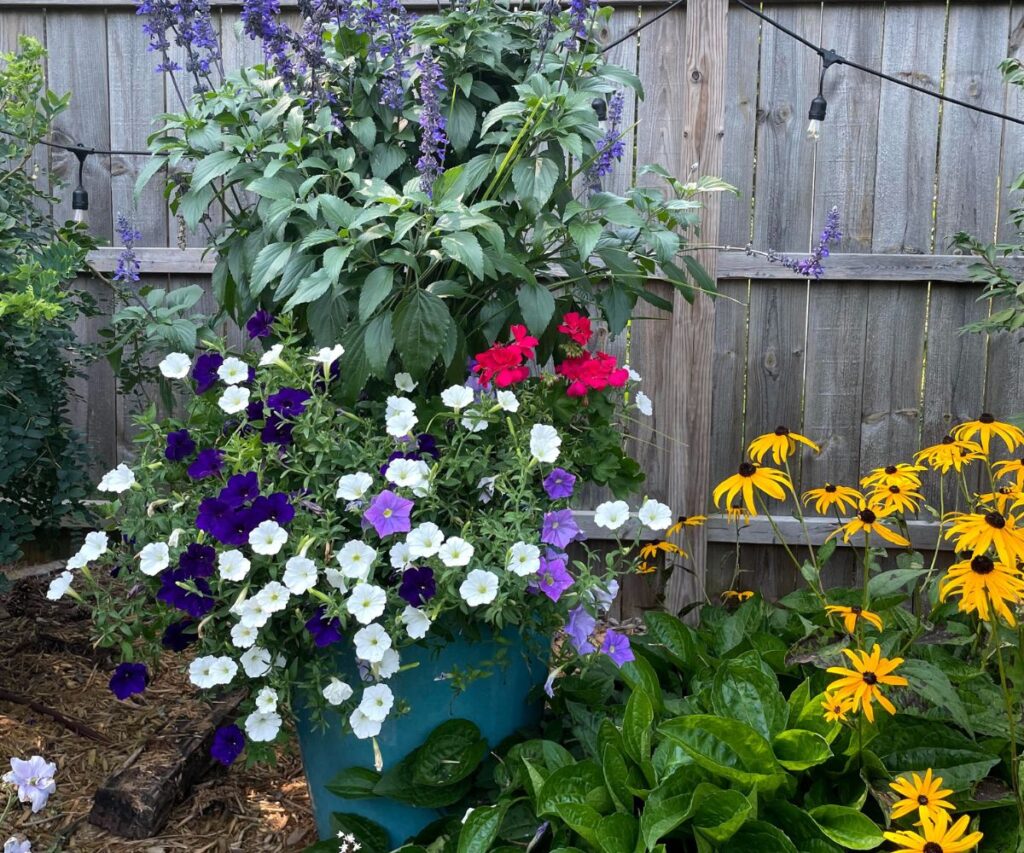 Boost Your Blooms with the Hidden Benefits of Self-Watering Planters