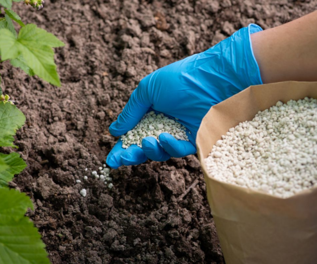 Fall Fertilization: The Secret to a Stunning Spring Landscape