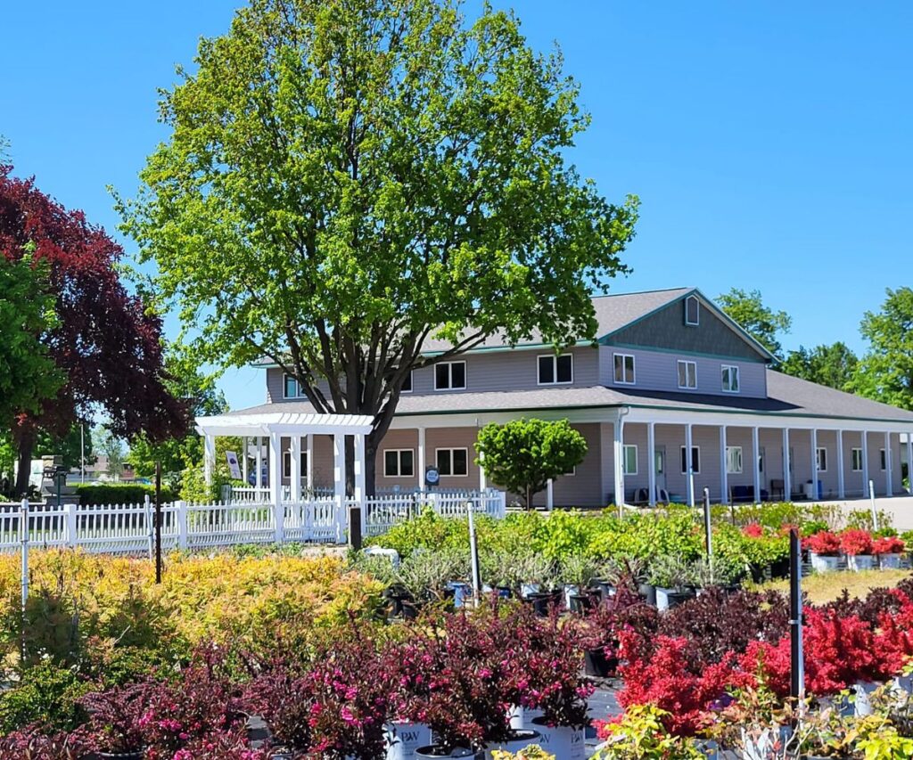 6 Benefits of Shopping at a Local Garden Center for Plants and Garden Supplies