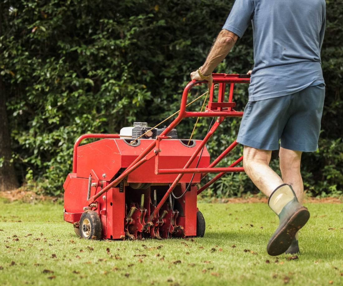 Everything You Need to Know About Lawn Aeration