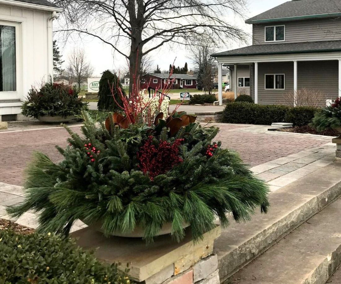 Winter Container Garden Decor Ideas for a Festive Home