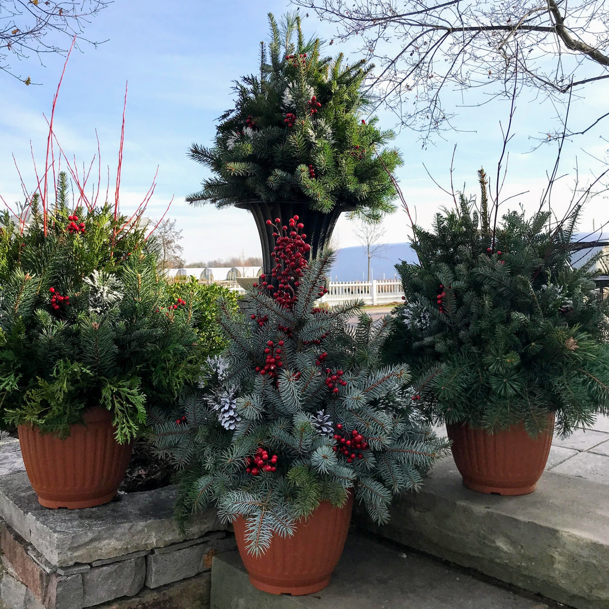 Winter Container Garden Make & Take