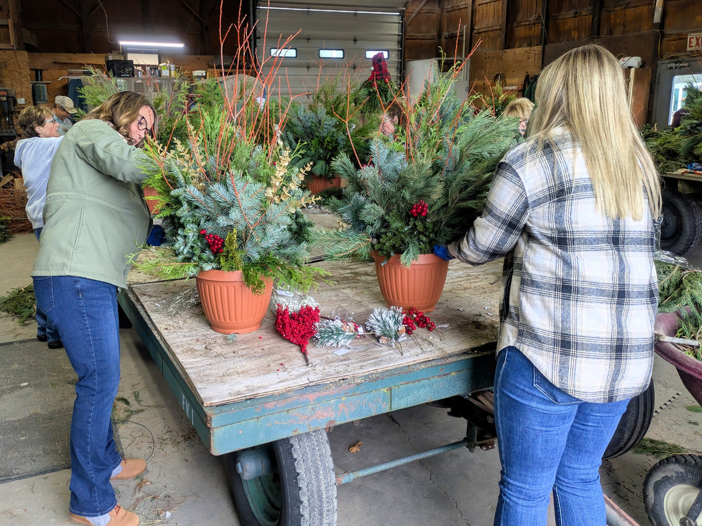 Winter Container Garden Make & Take