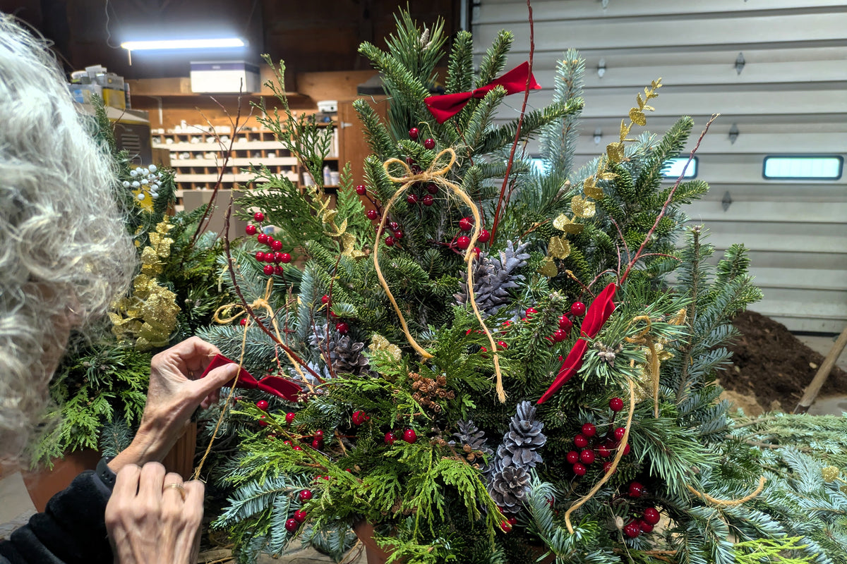 Winter Container Garden Make & Take