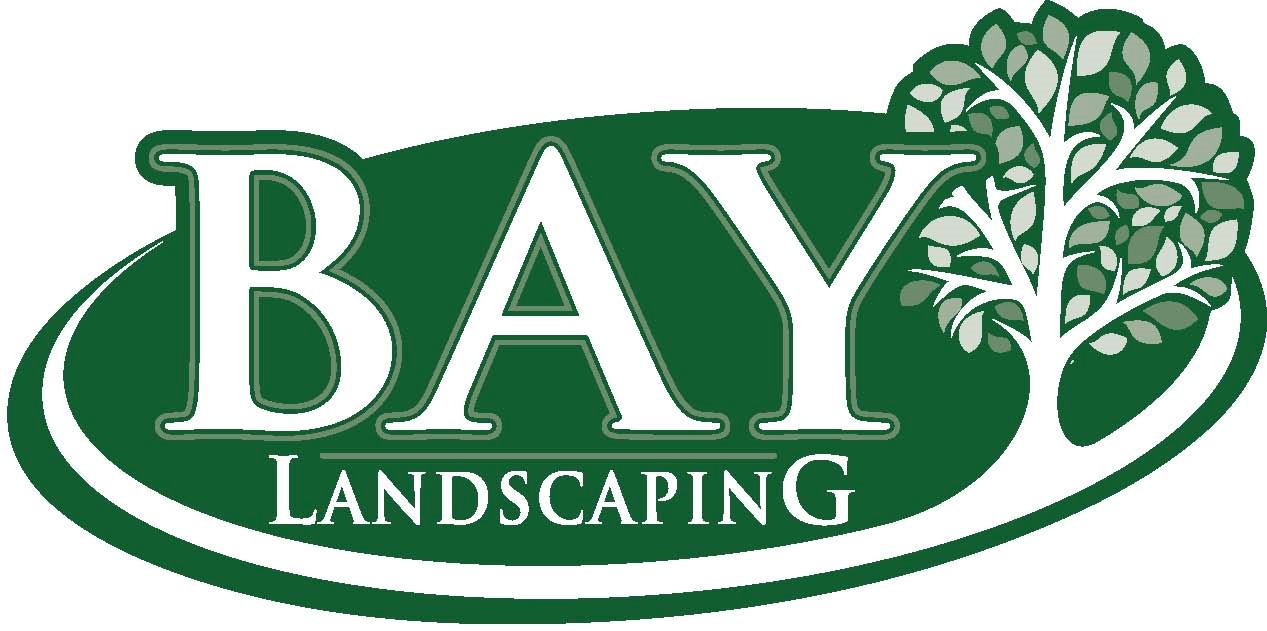 Bay - Logo color without slogan