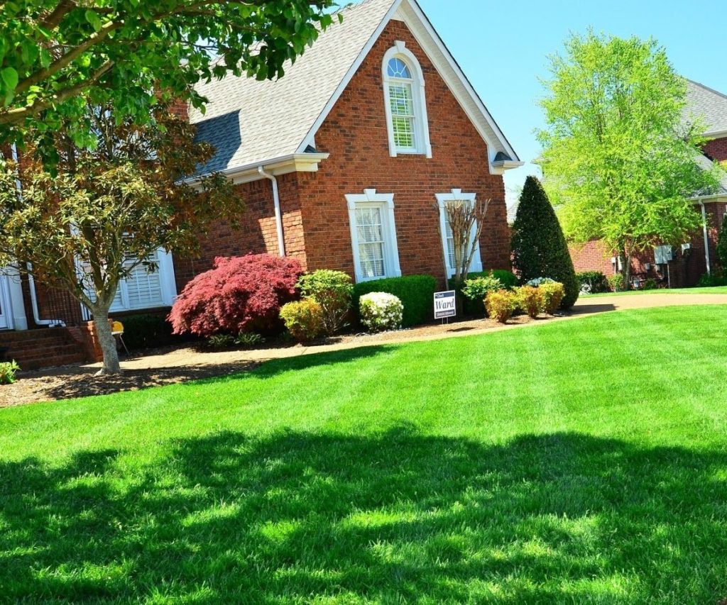 Green, freshly cut grass in front of homes in a Michigan subdivision.