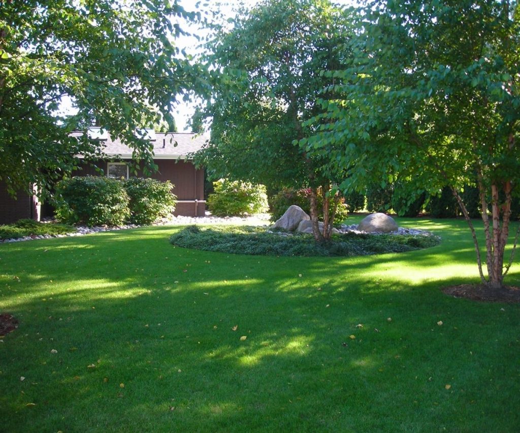 Well-maintained garden landscape surrounded with healthy plants and trees.
