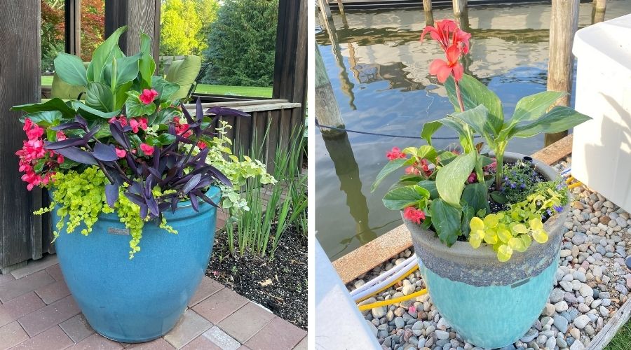 Bay Landscaping's ultramarine and milk blue self-watering aquapots used in growing plants and flowers.