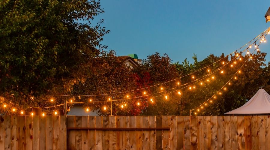 Strings of lights drape over a backyard with a wooden fence and tall trees.