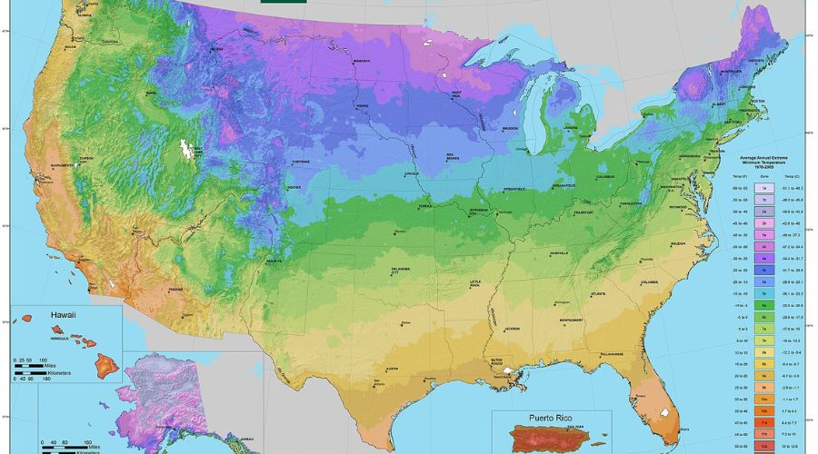 A map depicting the various USDA hardiness or planting zones in the United States of America.