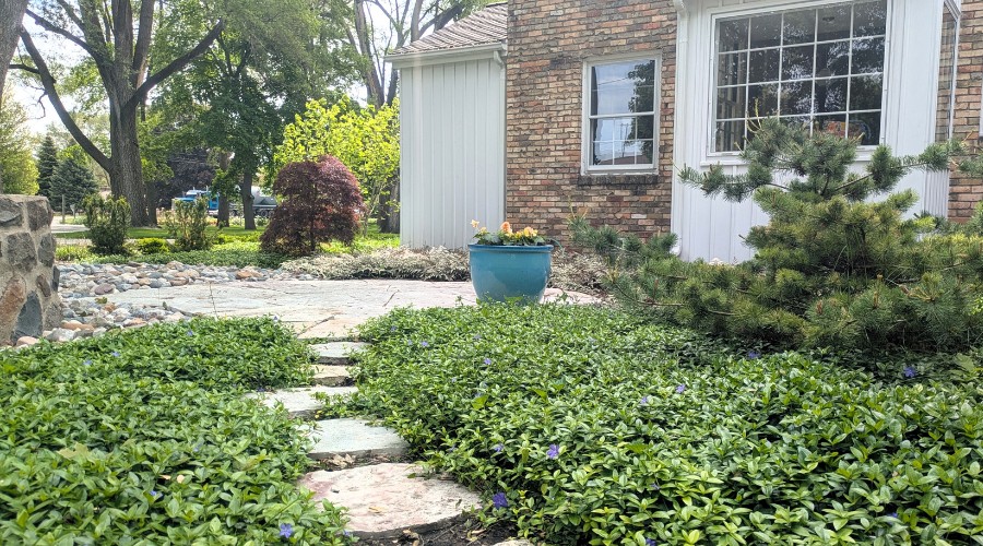Backyard with natural stone patio and stepping stones surrounded by low-growing ground cover and native Michigan plants, creating a tidy, low-maintenance landscape design.