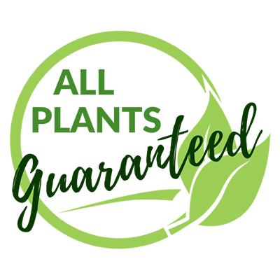Bay-icon-plant-guarantee