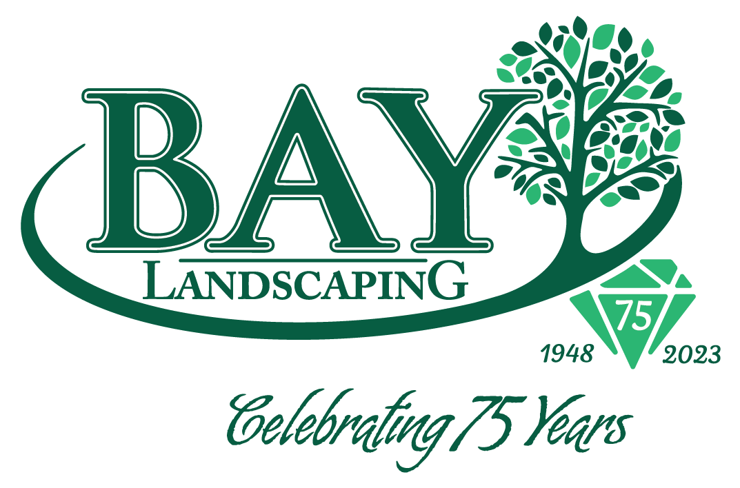 Bay Landscaping logo celebrating 75 years in business in 2023.