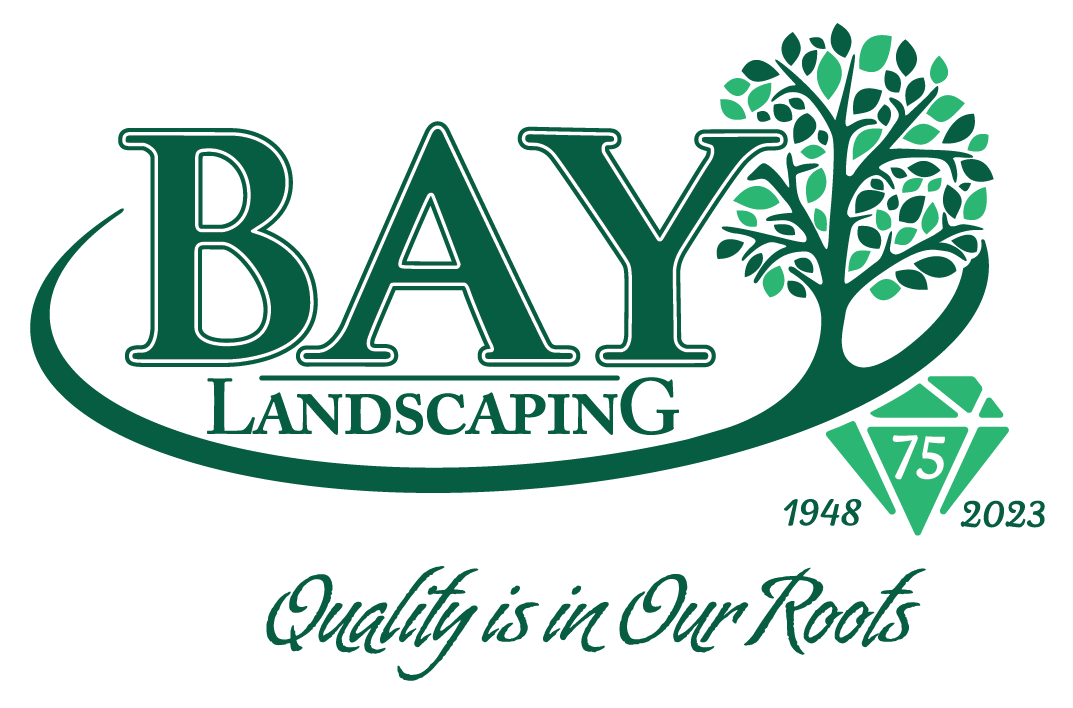 Special logo for Bay Landscaping in Bay City, Michigan to celebrate 75 years in business.