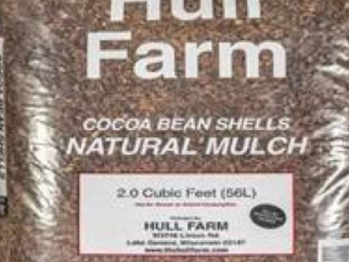 Cocoa Bean Mulch, 52 OFF dpise2022.dps.uminho.pt