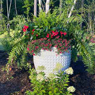 white AquaPot in a garden bed with red flowers and green ferns