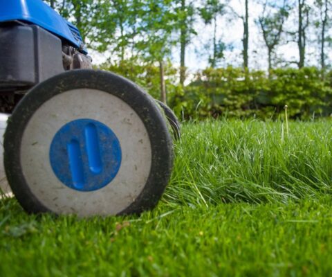 Close-up of a blue lawnmower cutting a green lawn.
