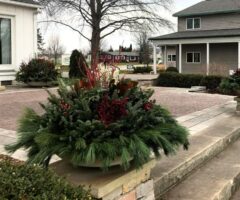 A beautiful evergreen bough container garden featuring red twig dogwood, white pine, and other winter-hardy plants, showcased at Bay Landscaping.