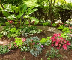 Vibrant backyard garden in the Great Lakes Bay Region showcasing a variety of colorful tropical annuals from Bay Landscaping.