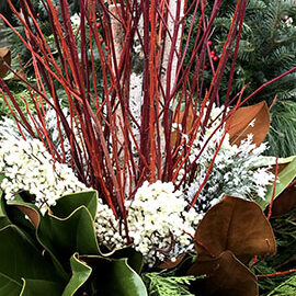 redtwig dogwood, magnolia leaves, and evergreen fronds in a christmas container by Bay Landscaping